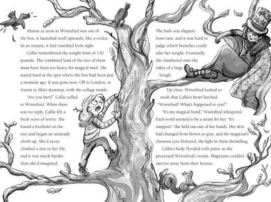 The Magician Next Door US - Hardback