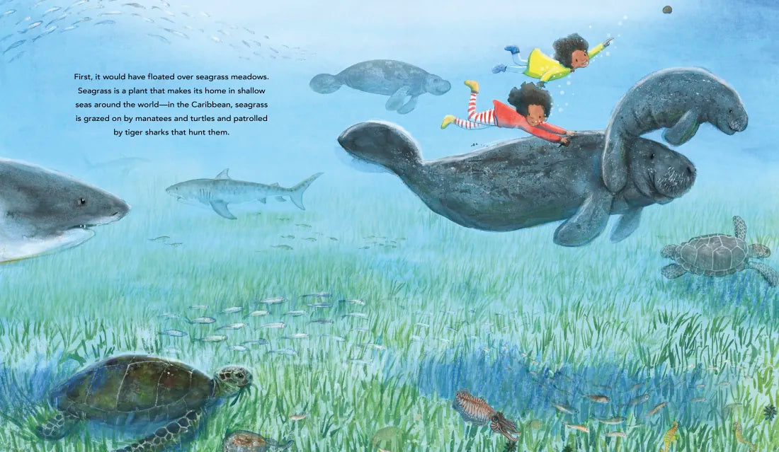 One Ocean: A Journey Beneath the Waves US - Hardback