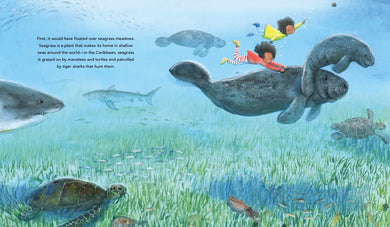 One Ocean: A Journey Beneath the Waves US - Hardback