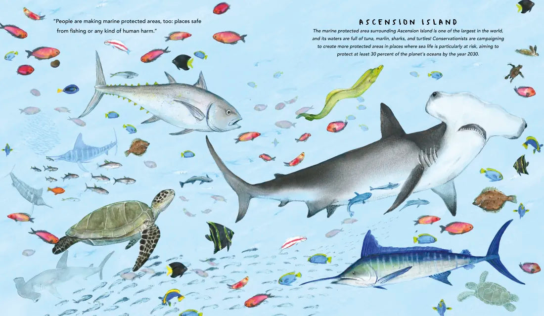 One Ocean: A Journey Beneath the Waves US - Hardback