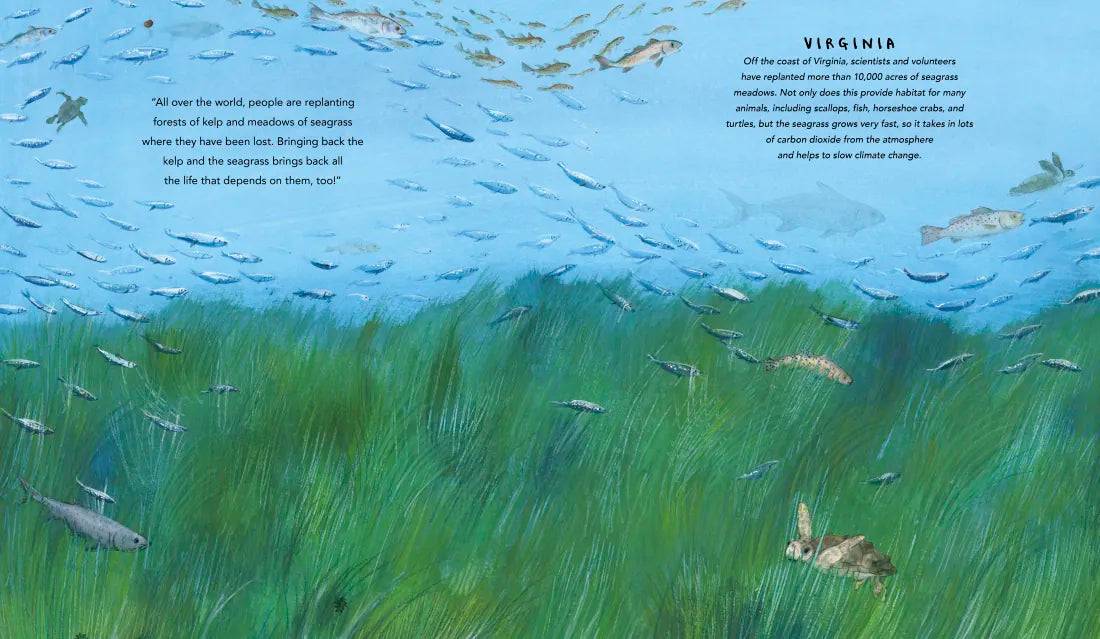 One Ocean: A Journey Beneath the Waves US - Hardback