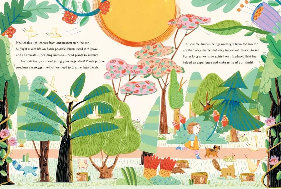 Light: The Extraordinary Energy That Illuminates Our World US - Hardback