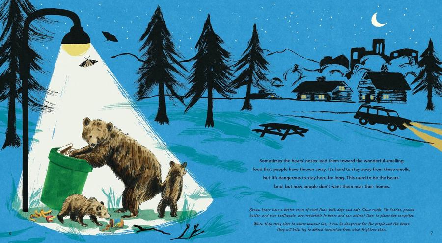 Brown Bears US - Paperback / softback