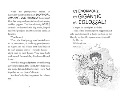 Harriet Hound US - Paperback / softback