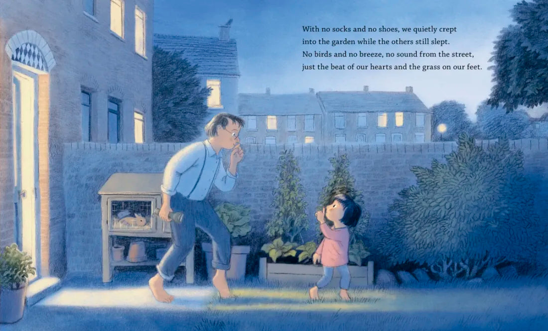 The Night of the Hedgehog US - Hardback