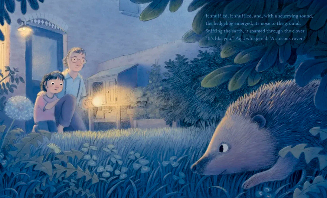 The Night of the Hedgehog US - Hardback