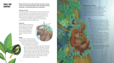 Orangutan Hats and Other Tools Animals Use US - Paperback / softback