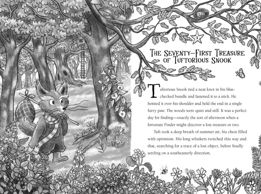 Finders of Silverthorn Forest US - Hardback