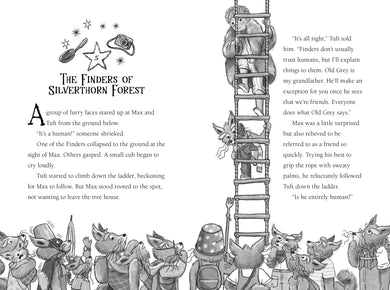 Finders of Silverthorn Forest US - Hardback