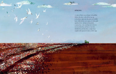 Marshmallow Clouds: Two Poets at Play among Figures of Speech US - Paperback / softback