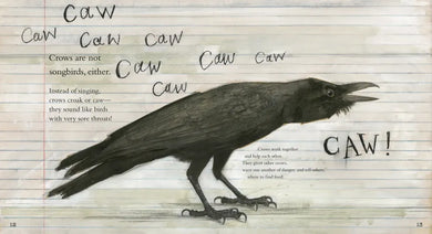 Clever Crow US - Paperback / softback