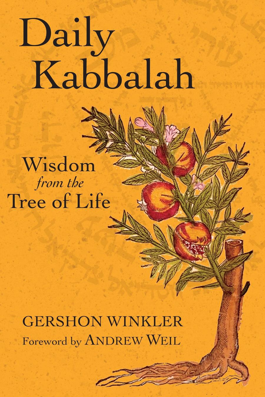 Daily Kabbalah-Religion and beliefs-買書書 BuyBookBook