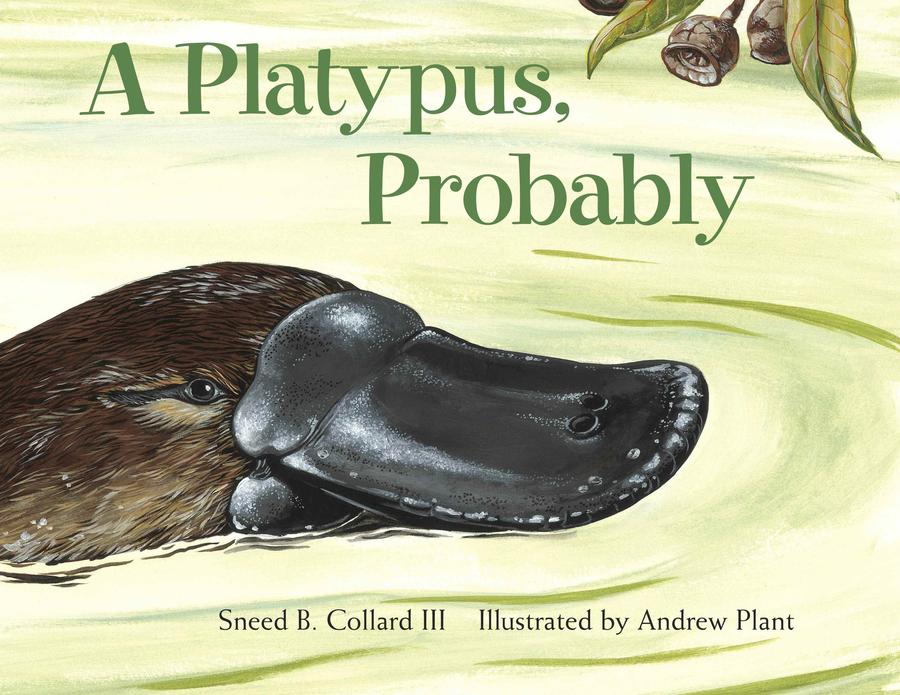 A Platypus, Probably-Children’s / Teenage general interest: Nature and animals-買書書 BuyBookBook