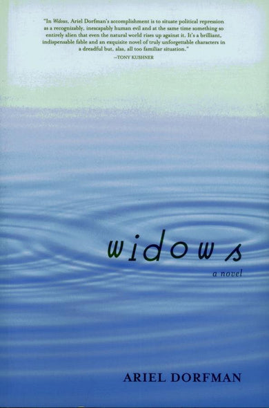 Widows-Fiction: general and literary-買書書 BuyBookBook