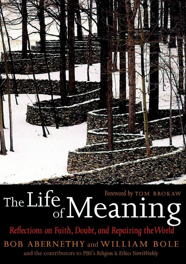 The Life of Meaning-Philosophy-買書書 BuyBookBook