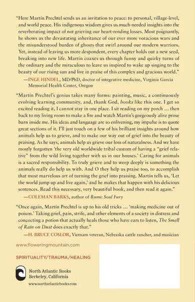 The Smell of Rain on Dust US - Paperback / softback