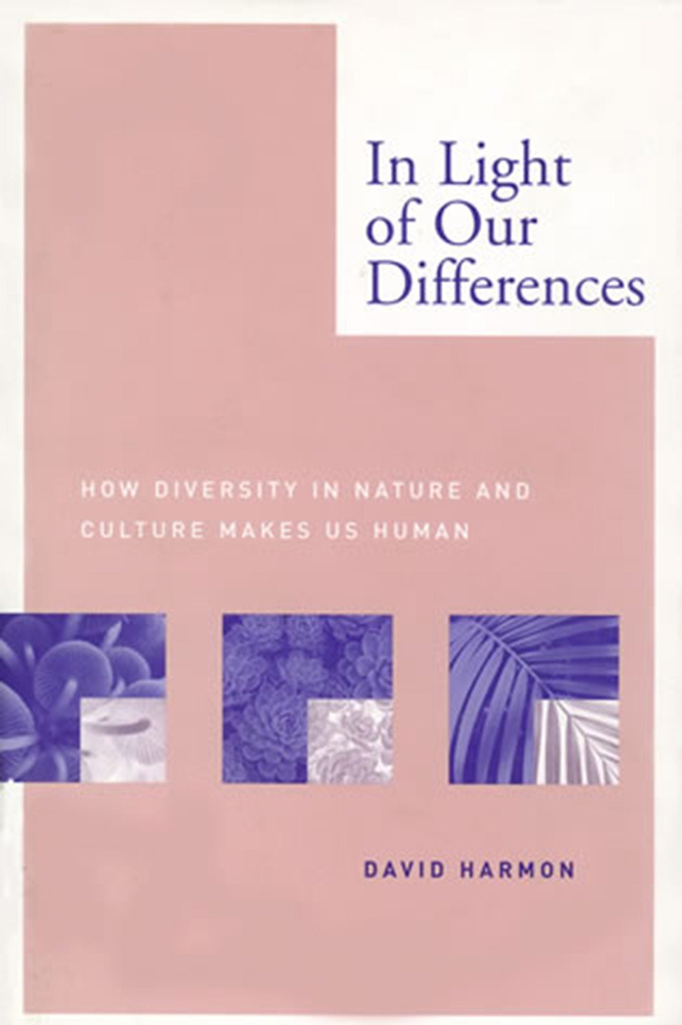 In Light of Our Differences-Society/ culture/ social sciences-買書書 BuyBookBook