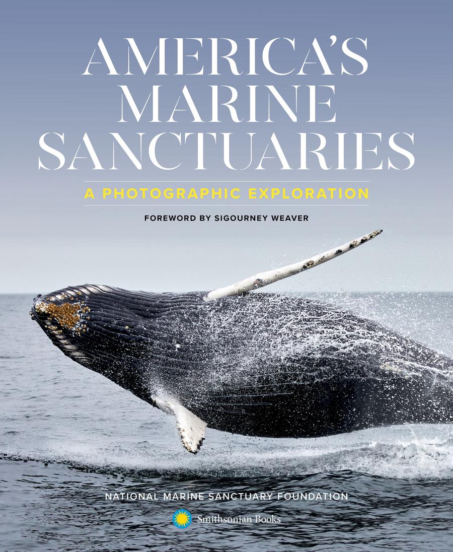America's Marine Sanctuaries-Earth Sciences/ Geography/ Environment/ Planning-買書書 BuyBookBook