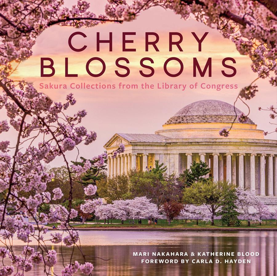 Cherry Blossoms-Nature and the natural world: general interest-買書書 BuyBookBook