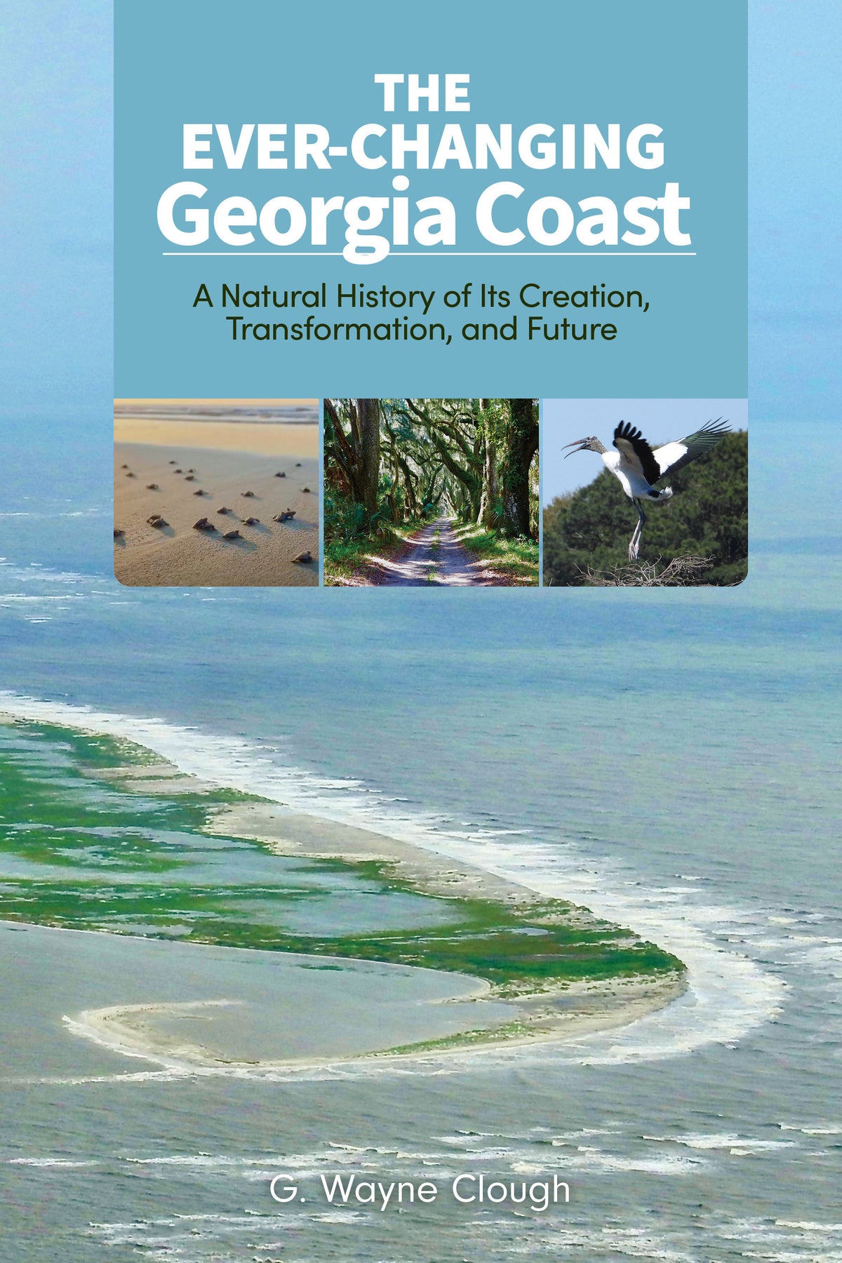 The Ever-Changing Georgia Coast