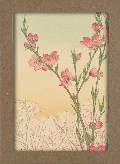 Smithsonian Cherry Blossom Notecard Set