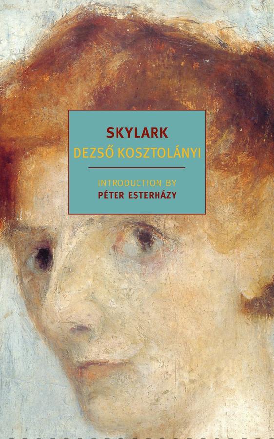 Skylark-Fiction: general and literary-買書書 BuyBookBook