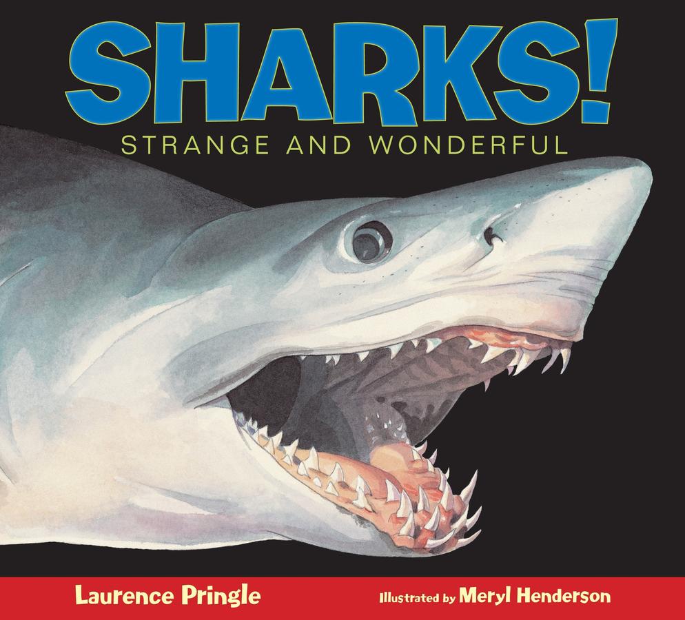 Sharks!-Children’s / Teenage general interest: Nature and animals-買書書 BuyBookBook