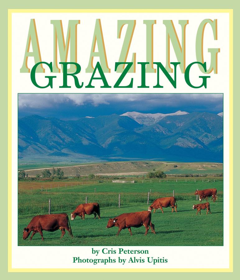 Amazing Grazing-Children’s / Teenage: Personal and social topics-買書書 BuyBookBook