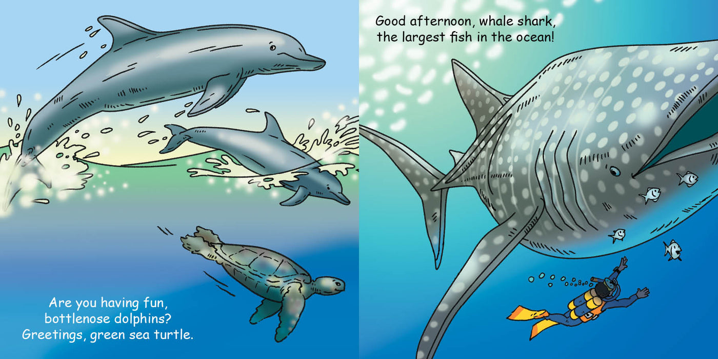 Good Night Ocean US - Board book
