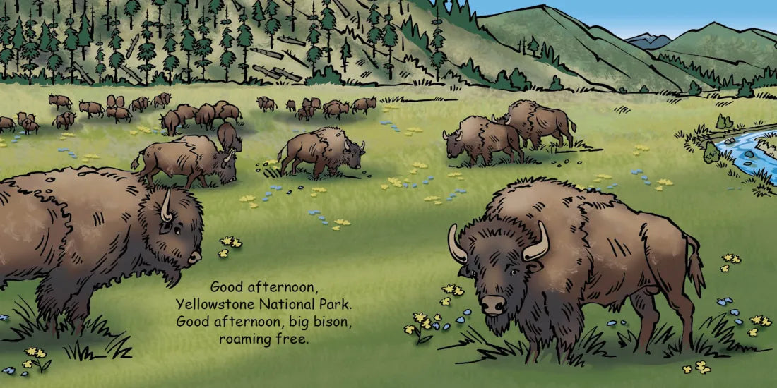 Good Night Montana US - Board book