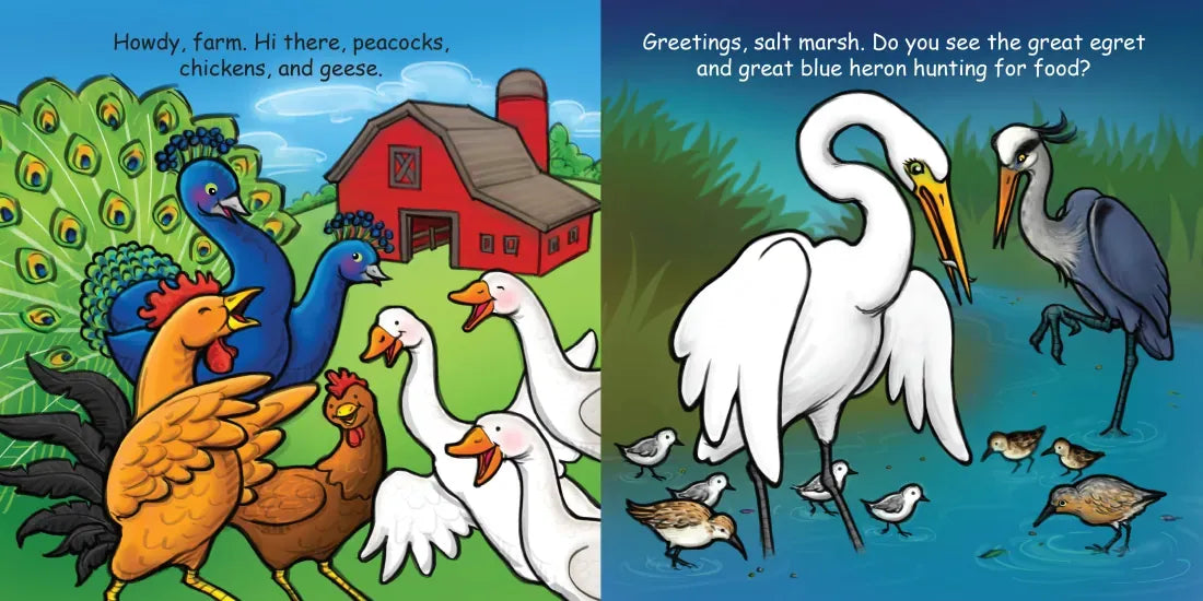 Good Night Birds US - Board book