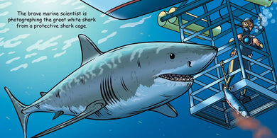 Good Night Sharks US - Board book