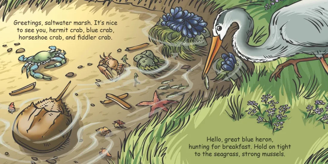 Good Night Seashore US - Board book