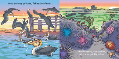 Good Night Seashore US - Board book