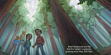 Good Night Redwoods US - Board book