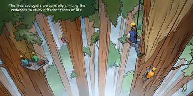 Good Night Redwoods US - Board book