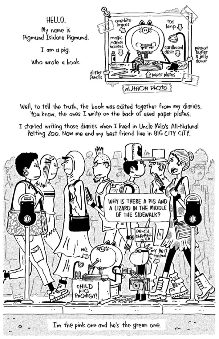 The Unpetables (Book 2): Unpetable in the City US - Paperback / softback