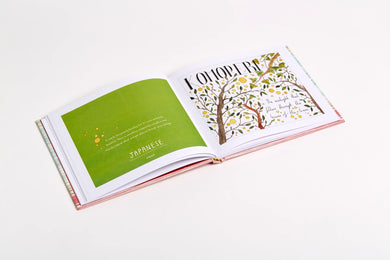 Lost in Translation US - Hardback