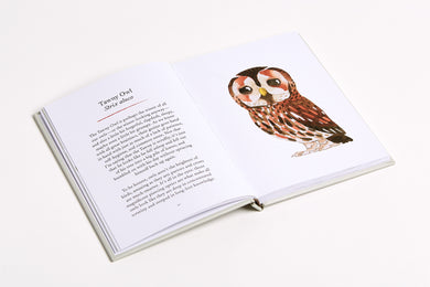 Owls US - Hardback