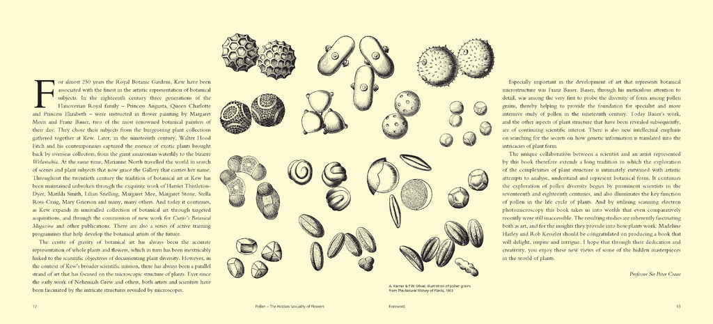 Pollen inside page 1