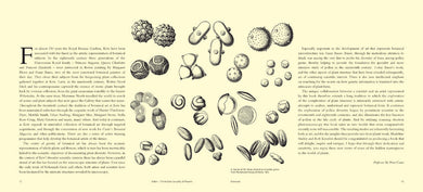Pollen inside page 1