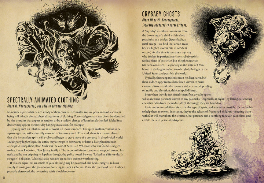 Tobin's Spirit Guide inside page 2