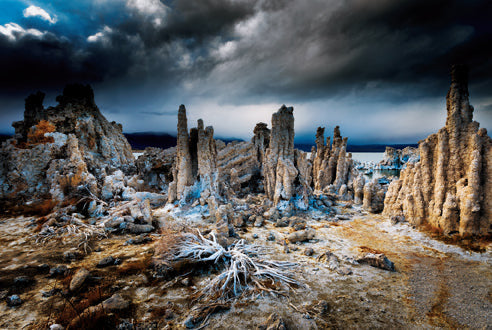 Art Wolfe: Extraordinary Earth Blank Boxed Notecards inside page 4