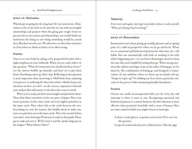 Real-World Enlightenment US - Paperback / softback