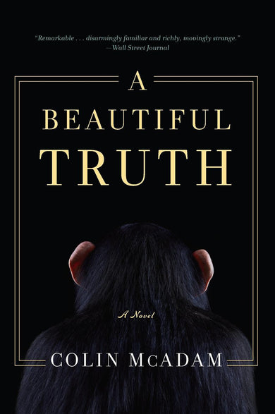 A Beautiful Truth-Fiction: general and literary-買書書 BuyBookBook
