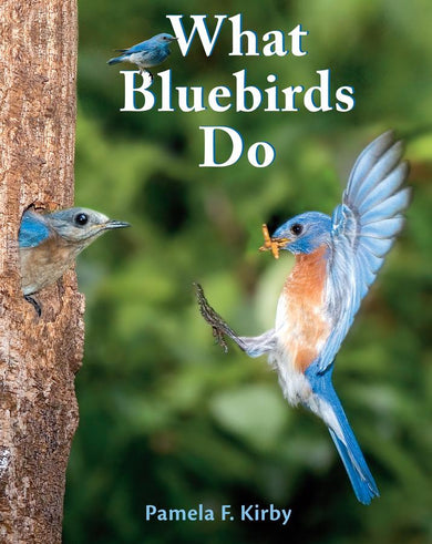 What Bluebirds Do-Children’s / Teenage general interest: Nature and animals-買書書 BuyBookBook