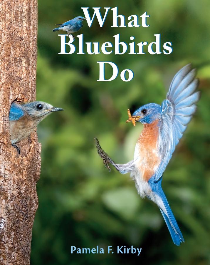 What Bluebirds Do-Children’s / Teenage general interest: Nature and animals-買書書 BuyBookBook