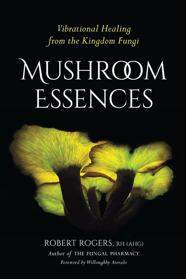Mushroom Essences-Mind/ body/ spirit-買書書 BuyBookBook