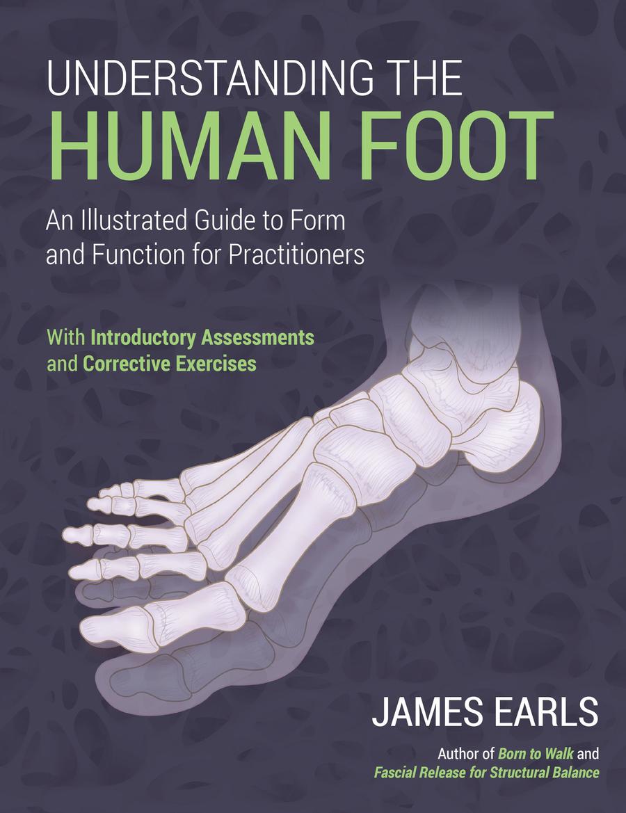 Understanding the Human Foot-Medicine and Nursing-買書書 BuyBookBook