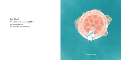 Hands-On Science: Matter US - Hardback